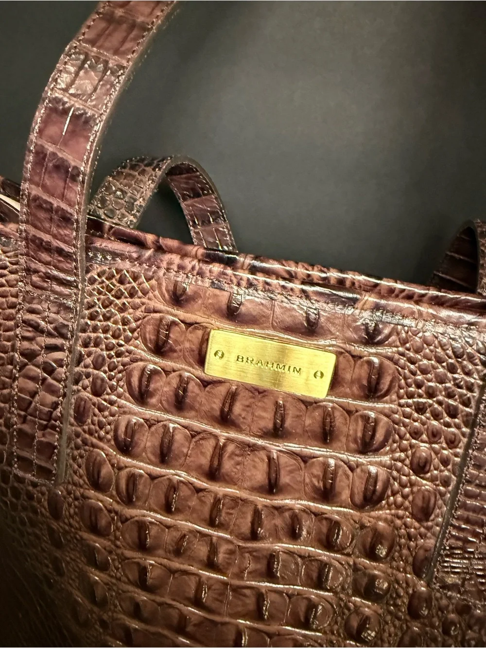 Brahmin Brown Croc-Embossed Leather Tote with Gold Hardware - Picture 2 of 4